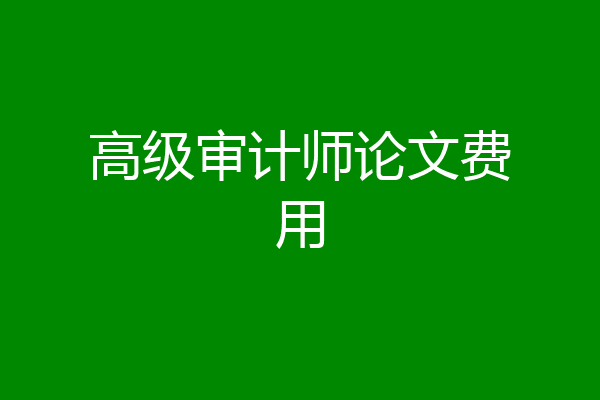 高级审计师论文费用