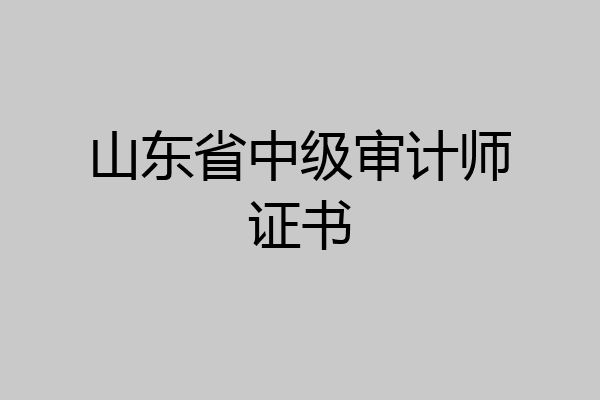 山东省中级审计师证书