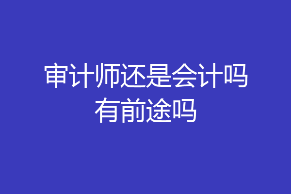 审计师还是会计吗有前途吗