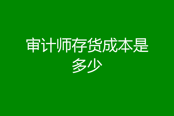 审计师存货成本是多少