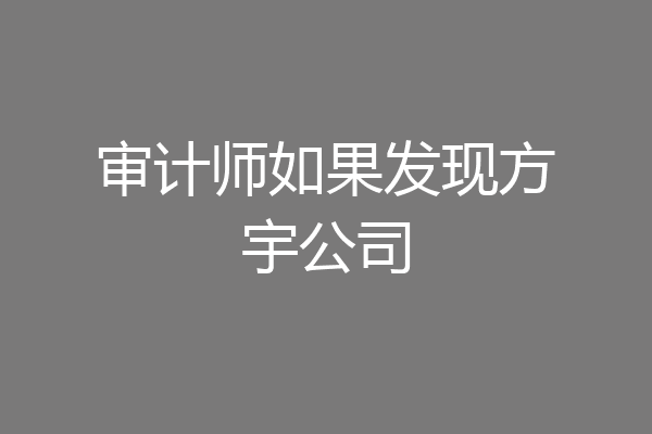 审计师如果发现方宇公司