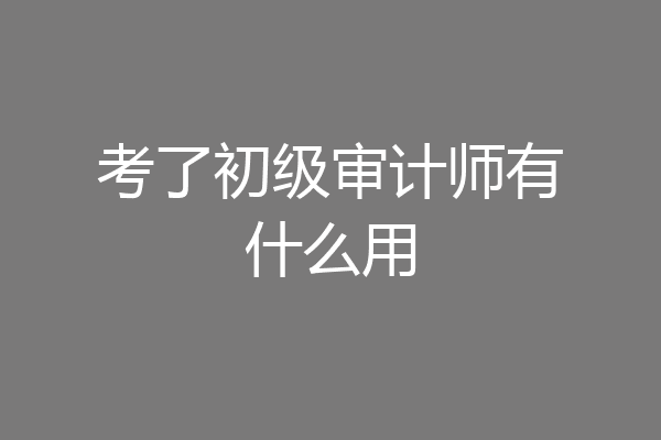考了初级审计师有什么用