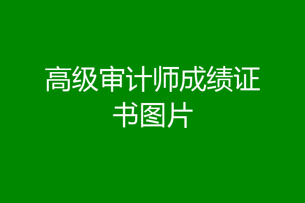 高级审计师成绩证书图片