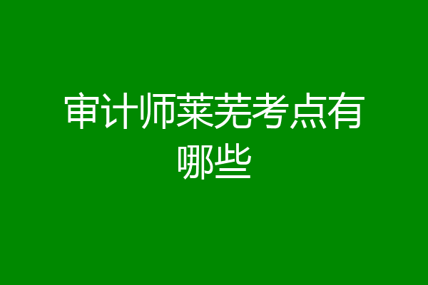 审计师莱芜考点有哪些