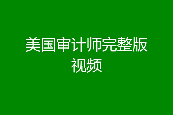 美国审计师完整版视频