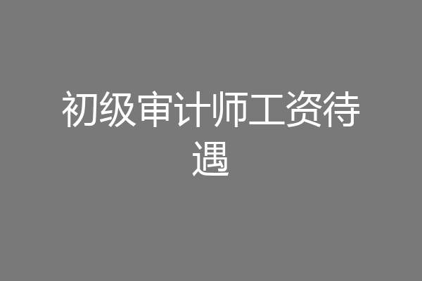 初级审计师工资待遇