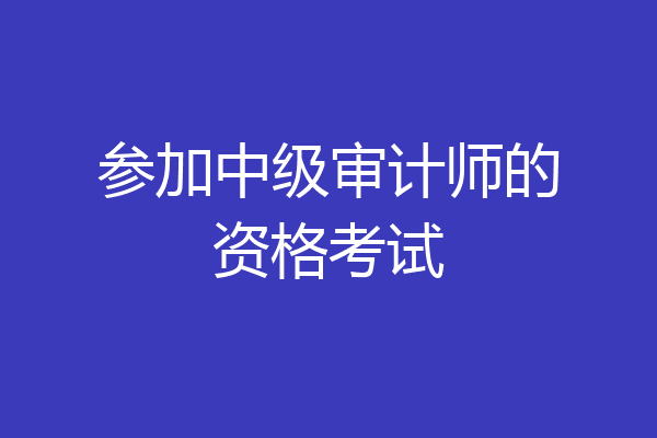 参加中级审计师的资格考试