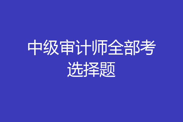 中级审计师全部考选择题