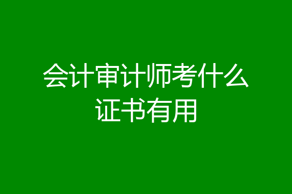 会计审计师考什么证书有用
