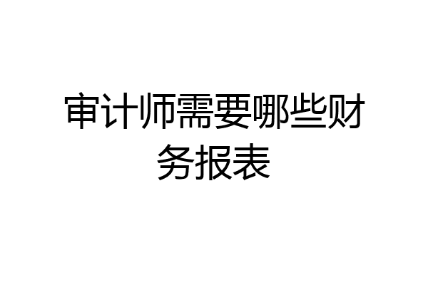 审计师需要哪些财务报表
