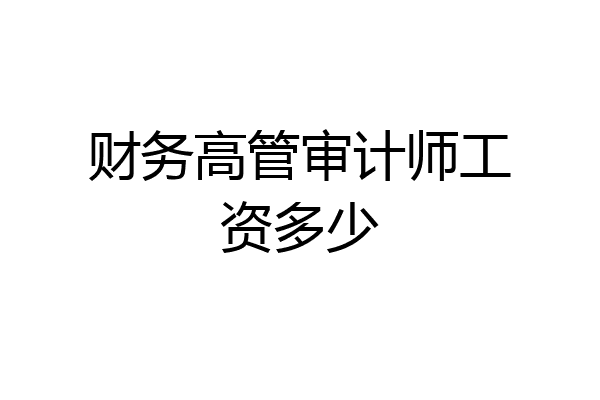 财务高管审计师工资多少