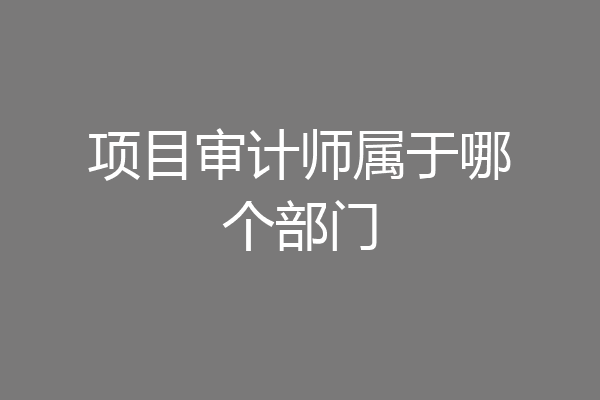 项目审计师属于哪个部门