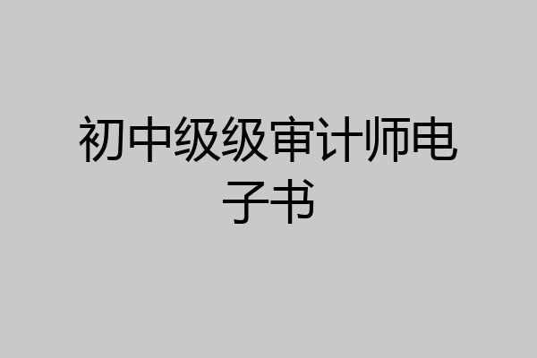初中级级审计师电子书