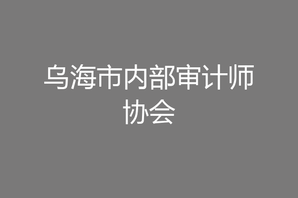 乌海市内部审计师协会