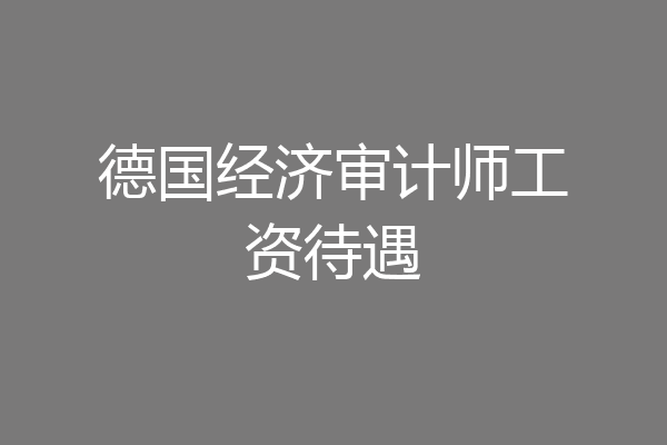 德国经济审计师工资待遇