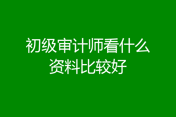 初级审计师看什么资料比较好