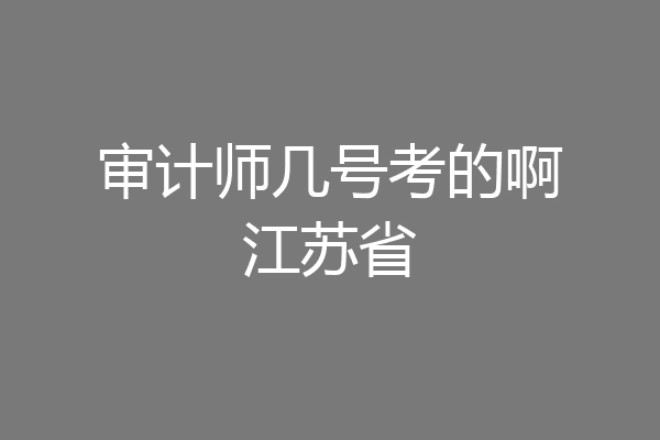 审计师几号考的啊江苏省