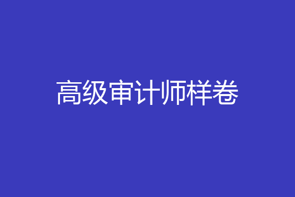高级审计师样卷