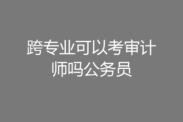 跨专业可以考审计师吗公务员