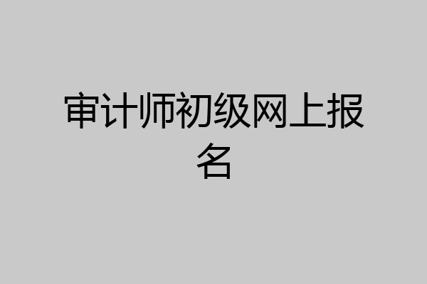 审计师初级网上报名