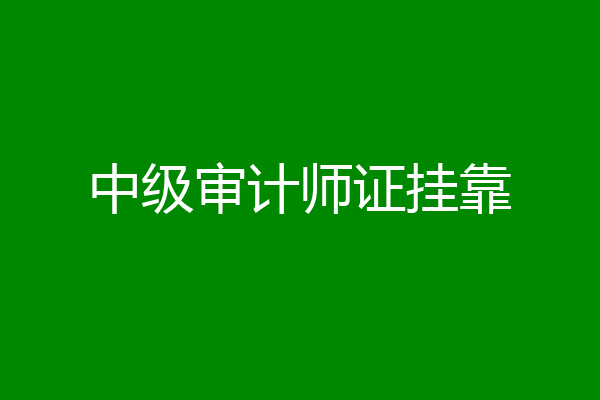中级审计师证挂靠