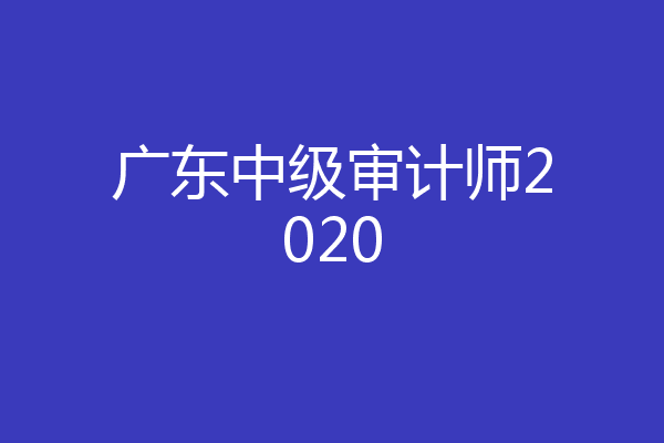 广东中级审计师2020
