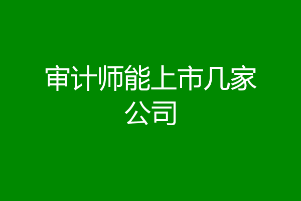 审计师能上市几家公司