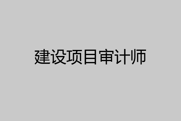 建设项目审计师