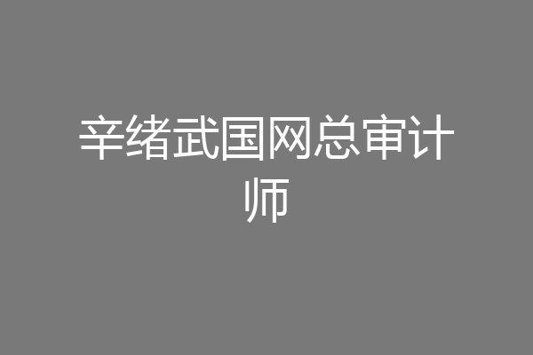 辛绪武国网总审计师