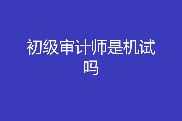 初级审计师是机试吗