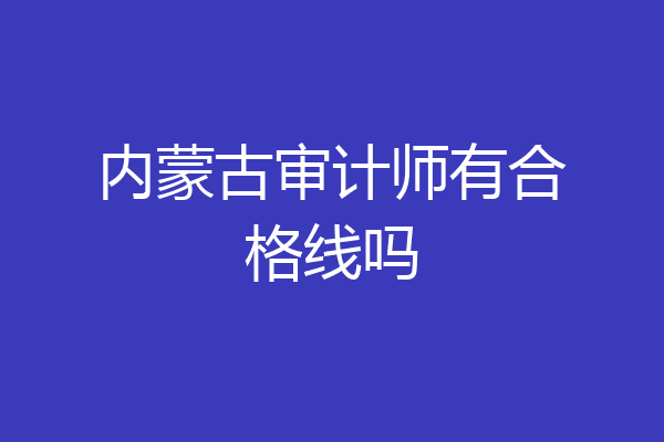 内蒙古审计师有合格线吗