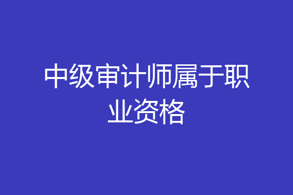 中级审计师属于职业资格