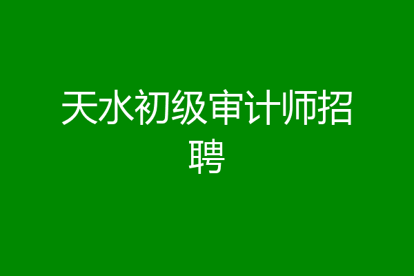 天水初级审计师招聘