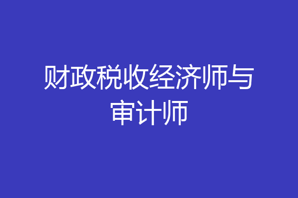 财政税收经济师与审计师