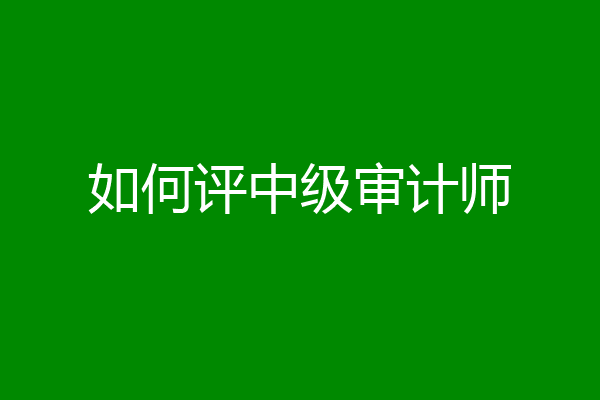 如何评中级审计师