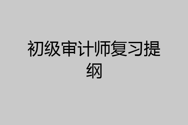 初级审计师复习提纲