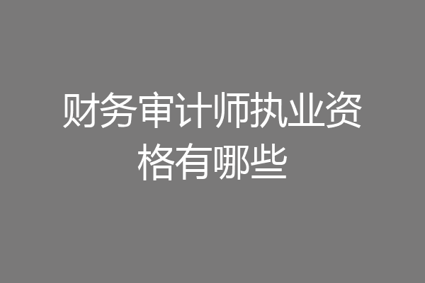 财务审计师执业资格有哪些