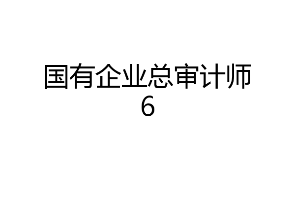 国有企业总审计师6