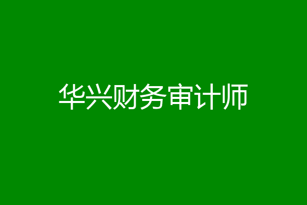 华兴财务审计师