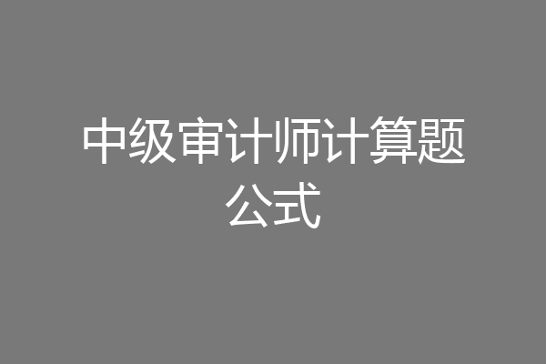 中级审计师计算题公式