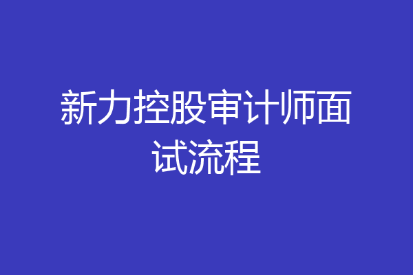 新力控股审计师面试流程