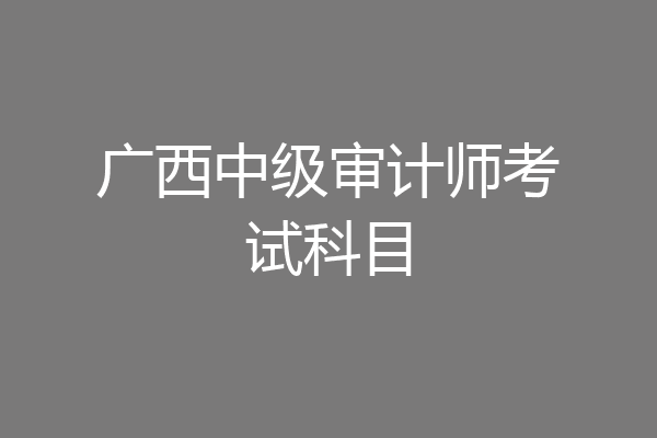 广西中级审计师考试科目