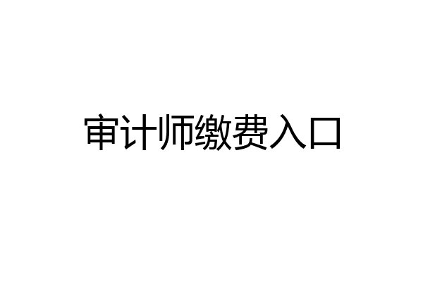 审计师缴费入口