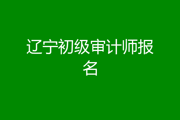 辽宁初级审计师报名