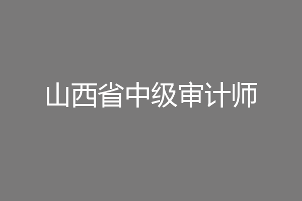 山西省中级审计师