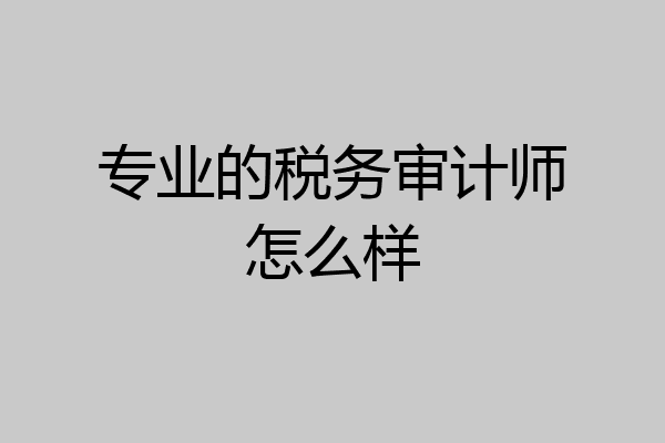 专业的税务审计师怎么样