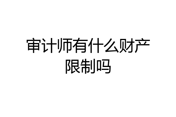 审计师有什么财产限制吗