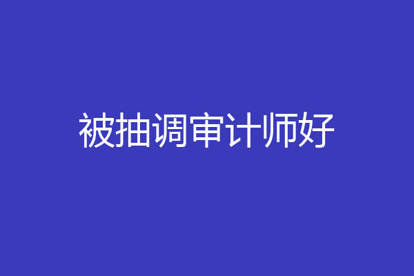 被抽调审计师好