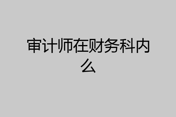 审计师在财务科内么