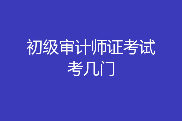 初级审计师证考试考几门